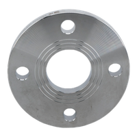 Фланец плоский DIN2576 нержавеющий, AISI304 DN50 (2") (60,3мм), (CF8), РN10/16