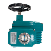 Привод электрический с ручным дублером, AC 24V (C-05)