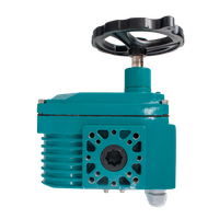 Привод электрический с ручным дублером, AC 24V (C-05)