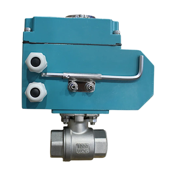 Кран шаровый муфтовый (2PC), AISI304 DN25 (1"), с электроприводом AC 24V (C-03)