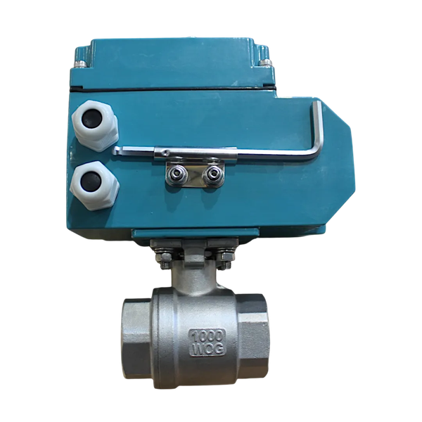 Кран шаровый муфтовый (2PC), AISI304 DN32 (1_1/4"), с электроприводом DC 24V (C-05)