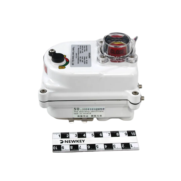 Привод электрический, AC 220V (C-03), серия YY