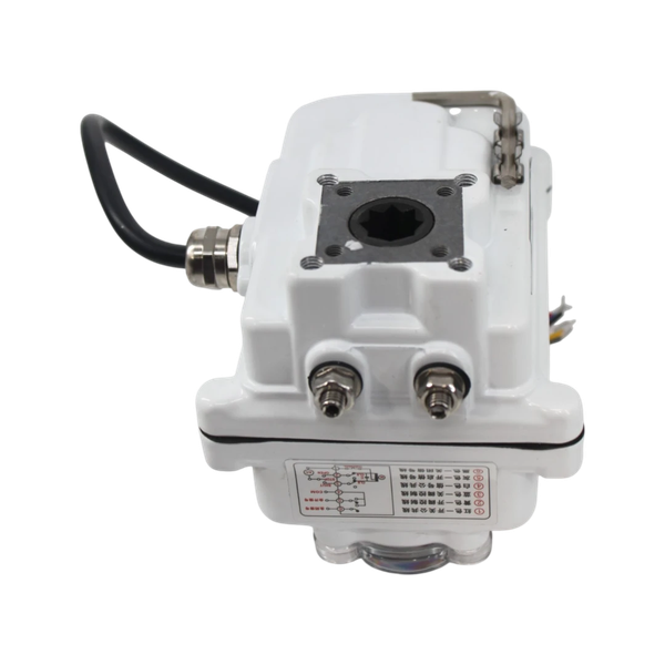 Привод электрический, AC 220V (C-03), серия YY