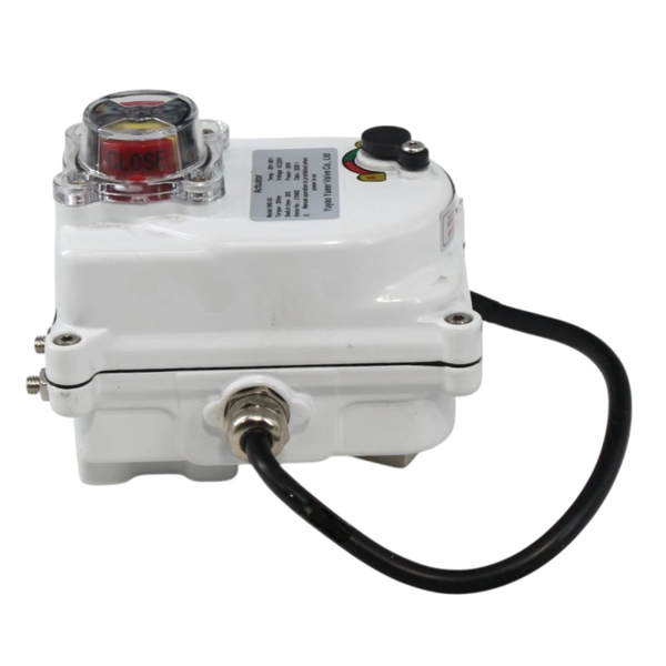 Привод электрический, AC 220V (C-03), серия YY