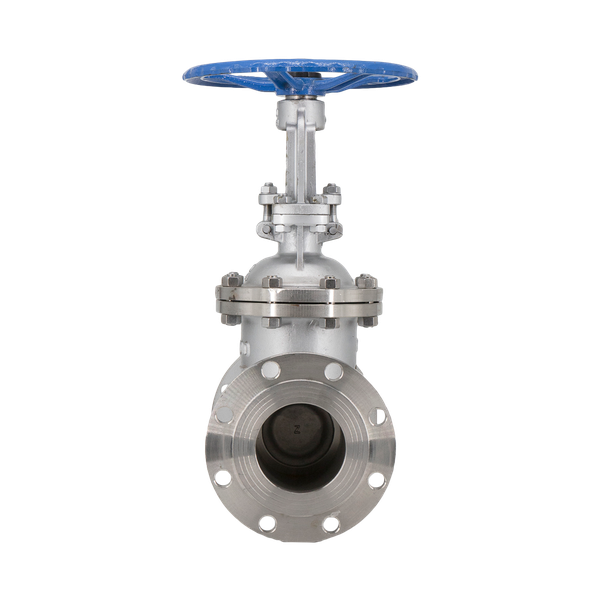 Задвижка клиновая фланцевая нержавеющая, AISI304 DN65 (2_1/2"), (CF8), PN16