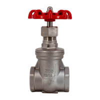 Задвижка клиновая муфтовая нержавеющая, AISI304 DN25 (1"), (CF8), PN64