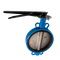 Затвор дисковый межфланцевый чугунный, DN 250 (10"), PN16