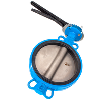 Затвор дисковый межфланцевый чугунный, DN 250 (10"), PN16